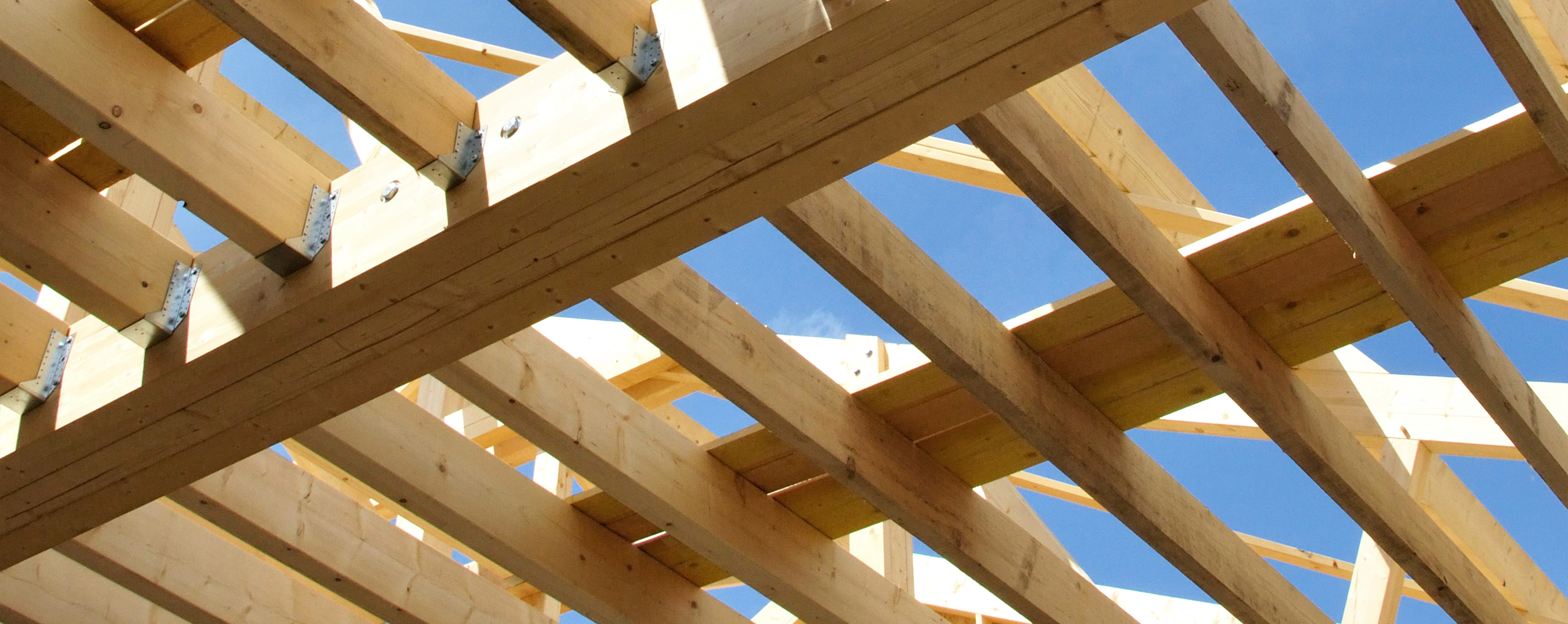 AdobeStock_424239331 [Converti]